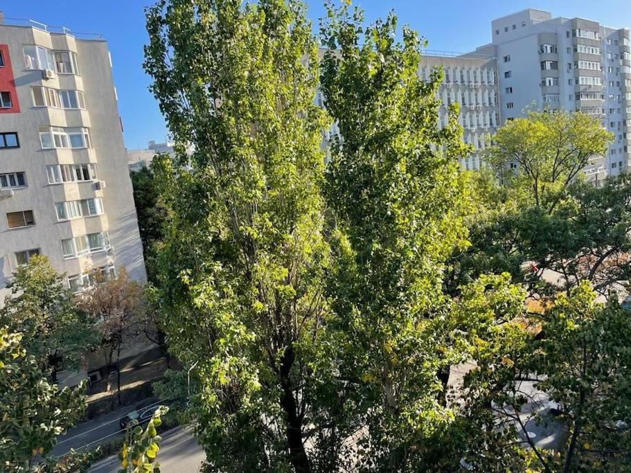 Mav Bucharest Apartment Luaran gambar